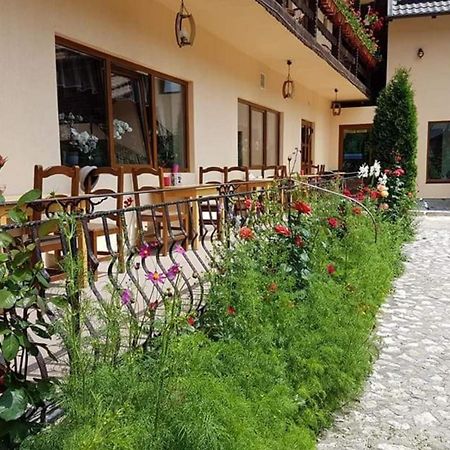 Pension Steaua Ariesului Albac Exterior photo