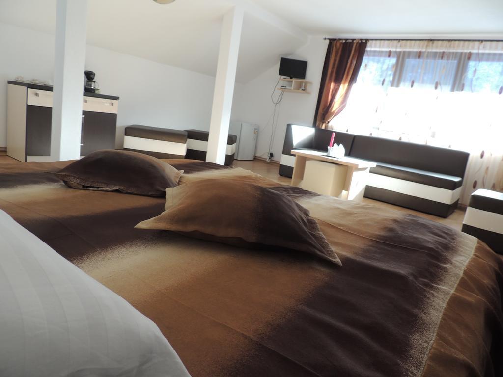 Pension Steaua Ariesului Albac Room photo