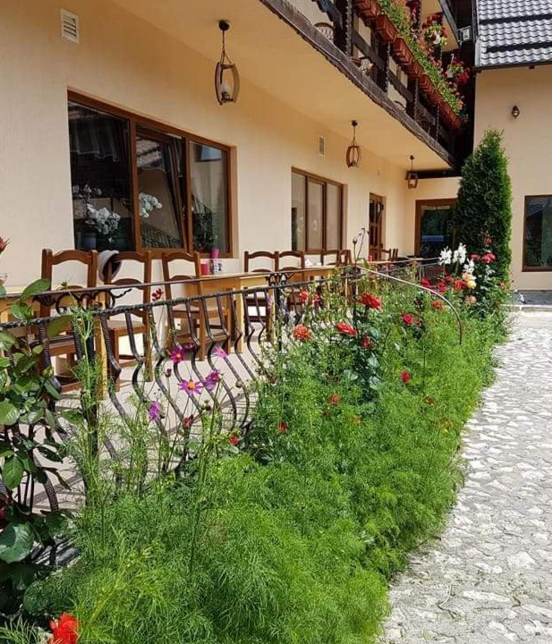 Pension Steaua Ariesului Albac Exterior photo